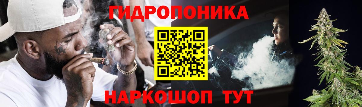 Бошки Шишки OG Kush  Конопля сатива  Вход с VPN  Канабис план  Каннабис Ganja  Пятигорск 